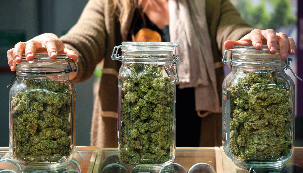 Essential tips to successfully dry and preserve fresh cannabis buds