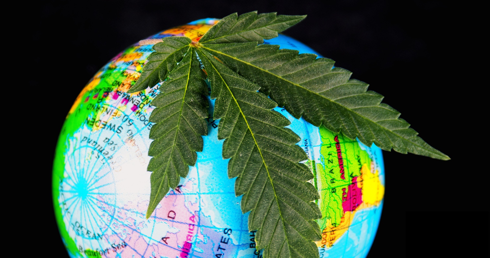 Which countries produce the most cannabis?